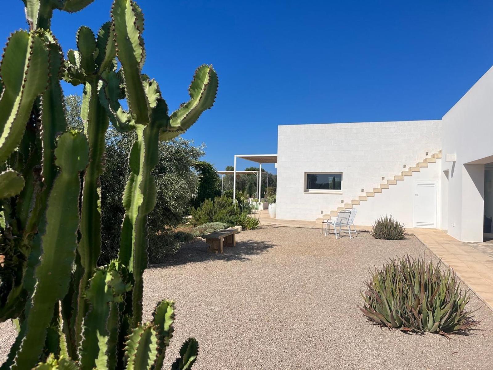 Villa Casa Bianca di Porto Selvaggio Santa Caterina  Esterno foto