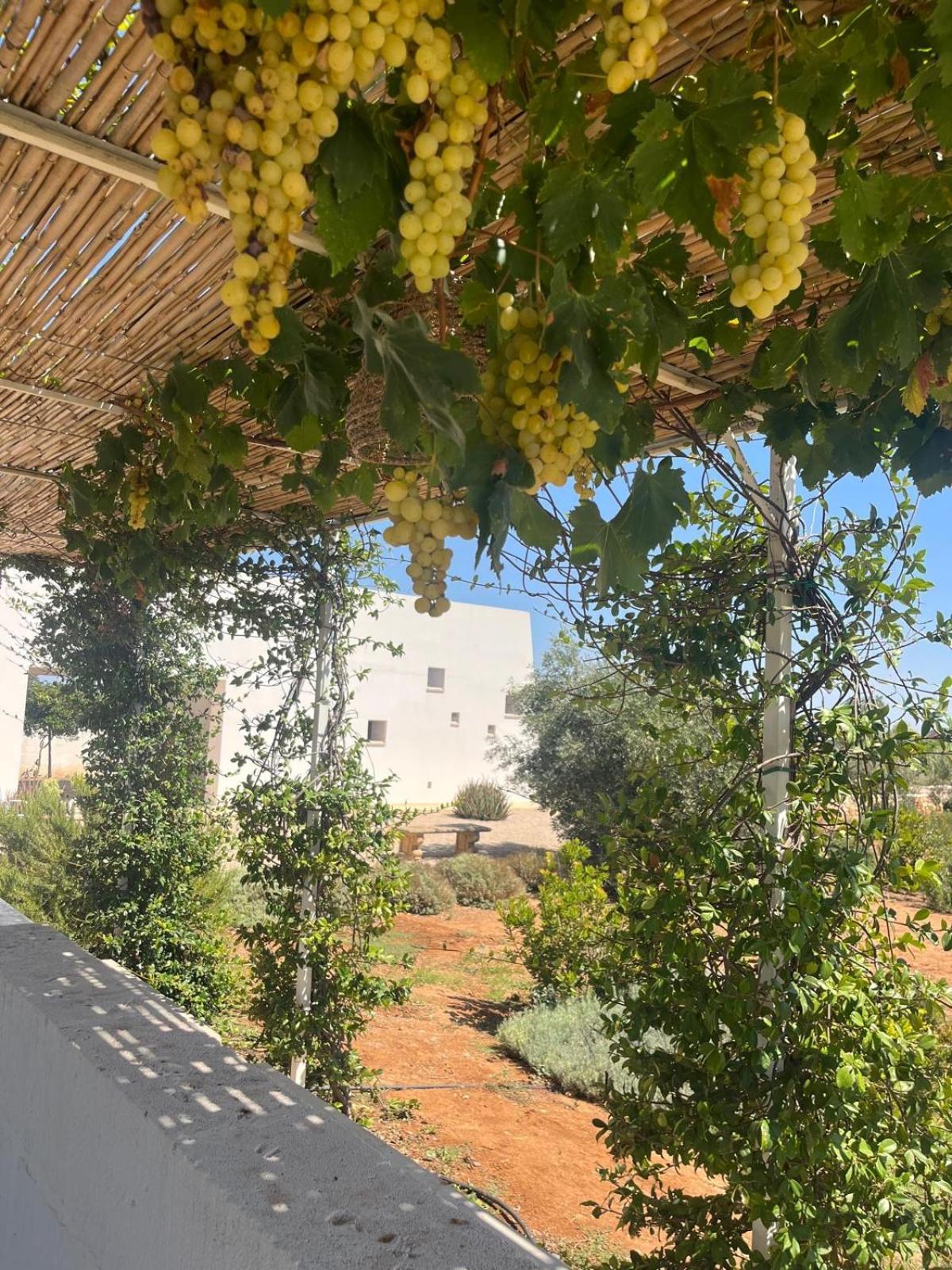 Villa Casa Bianca di Porto Selvaggio Santa Caterina  Esterno foto